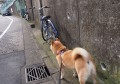 现在什么手机app可以赚钱？