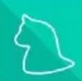 古董猫